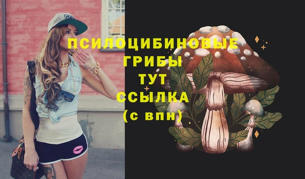 каннабис Гусев