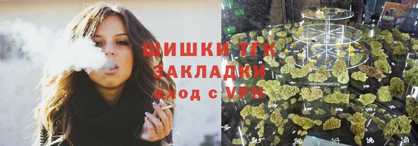 тгк Гусь-Хрустальный