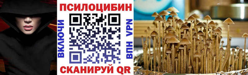 Псилоцибиновые грибы мицелий  Купить  Асбест 